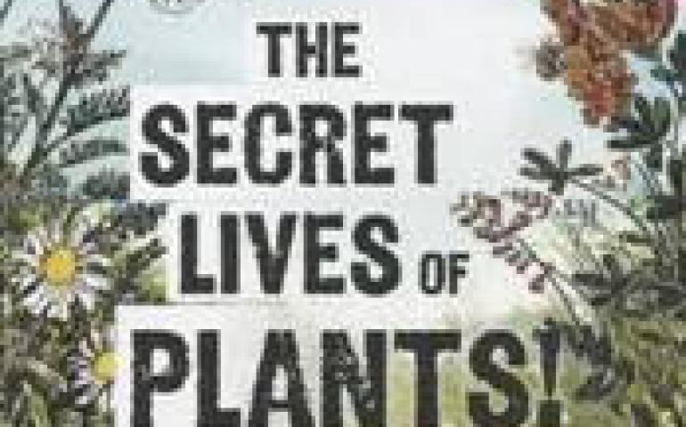 The secret lives of plants