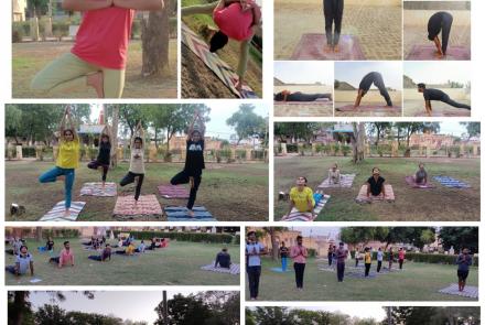 Glimpses of International Yoga Day